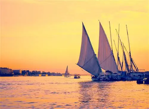 Сокровища Египта