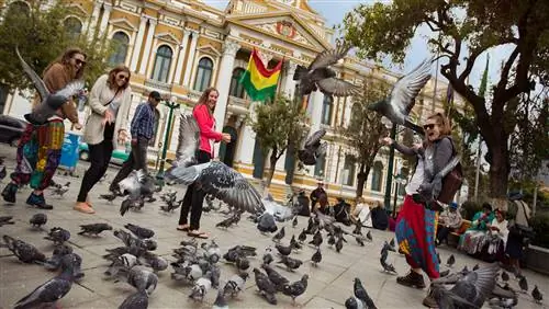 Ла-Пас, Боливия