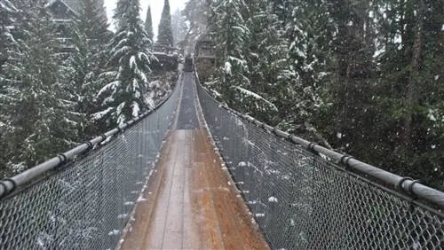 Основные впечатления от Ванкувера