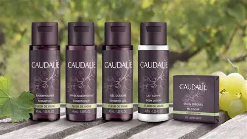 Crystal Cruises делится инициативами в области устойчивого развития