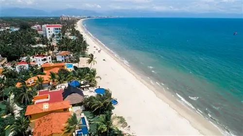 Конрад Пунта де Мита появится этой весной