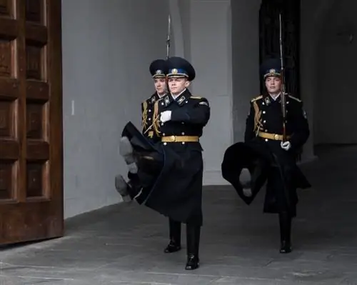 Эти угрюмые, шагающие гусиным шагом охранники меняются каждый час в Кремле.