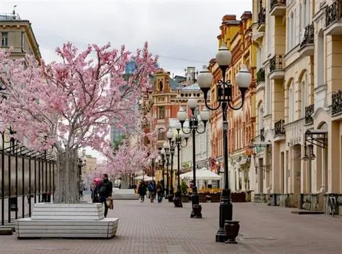 Самая известная улица Москвы - Старый Арбат, когда-то пристанище знати, поэтов и художников. В 1980-х годах она была превращена в пешеходную улицу, а сегодня является популярной туристической достопримечательностью.