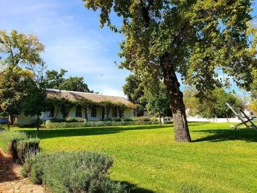 винодельческое хозяйство Кроне