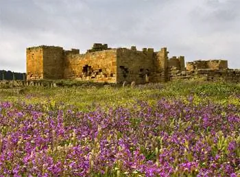 Придорожные руины