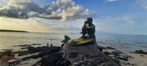 Сонгкхла оживляет популярную сказку