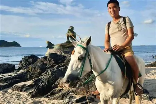 Знакомство с очаровательным историческим городом Сонгкхла, Таиланд