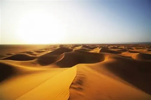 В этом суровом пустынном ландшафте есть невероятная красота.