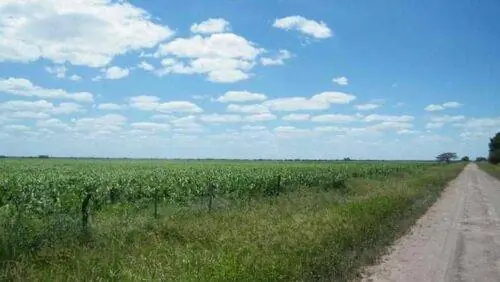 пастбище на эстансии в Аргентине, Собремеса.