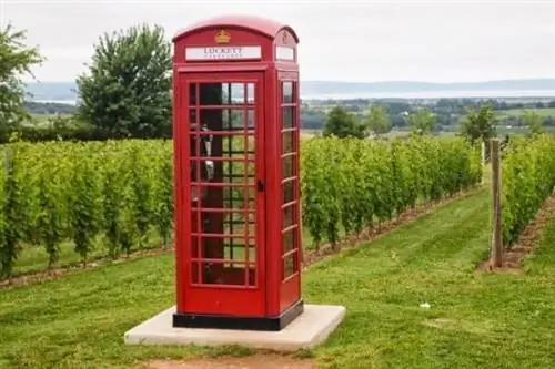 В Lucett Vineyards вы можете использовать эту телефонную будку, чтобы звонить кому угодно в мире.