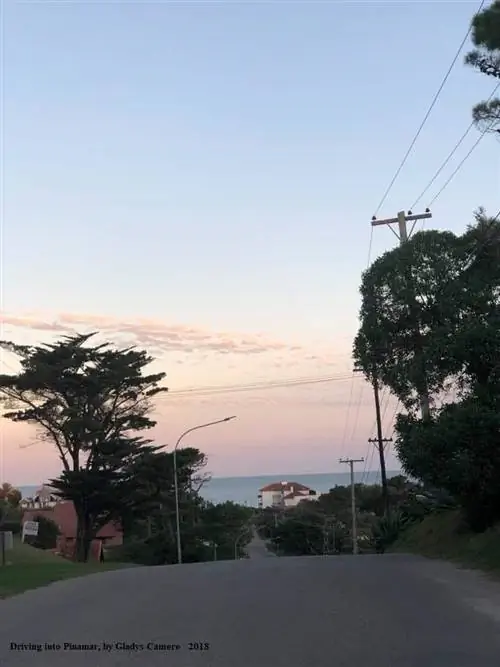 Дома, снятые Глэдис Кэмер, 2018 г.