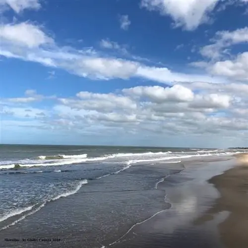 Береговая линия, сделанная Глэдис Кэмер, 2018 г.