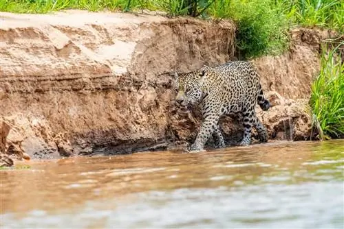 прогулка по берегу