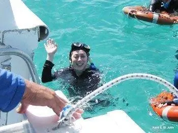 Снорклинг на острове Лизард