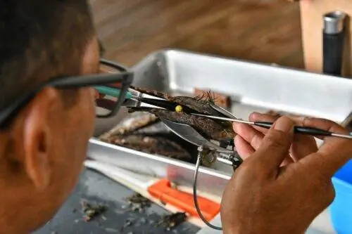 Love Here Pearl Farm Taha'a (таб-хаузер)