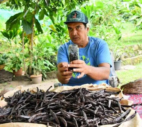 Taha'a Tahaa Vanilla (табхаузер)