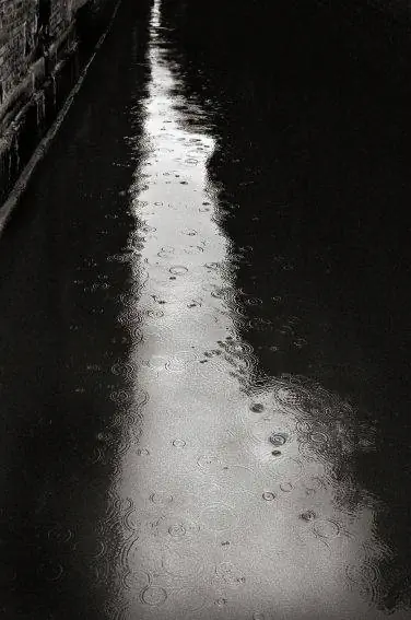 Роберт Хехт, 2002, Дождь на канале, Венеция