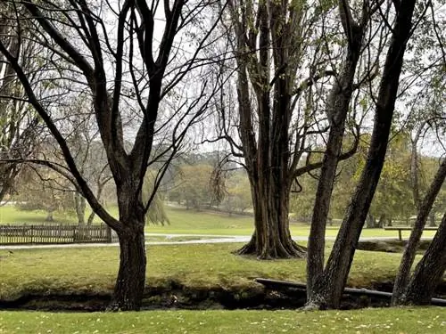Холодно и дождливо в Порт-Артуре, Тасмания