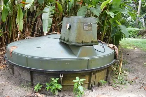 Один из видов зеландских дождевых червей питает курортный центр утилизации отходов.