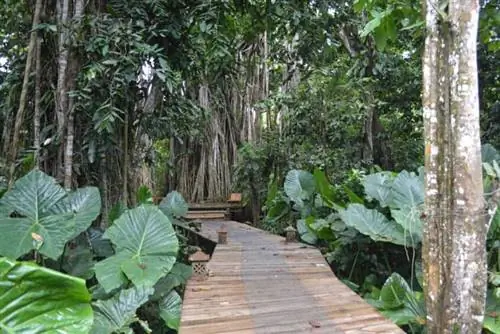 матанувуси