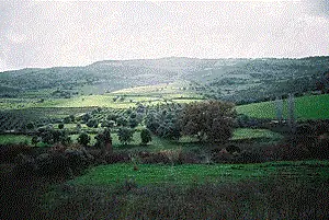 На Кипре есть красота и непринужденное очарование. фото: Уэйн Милстед.