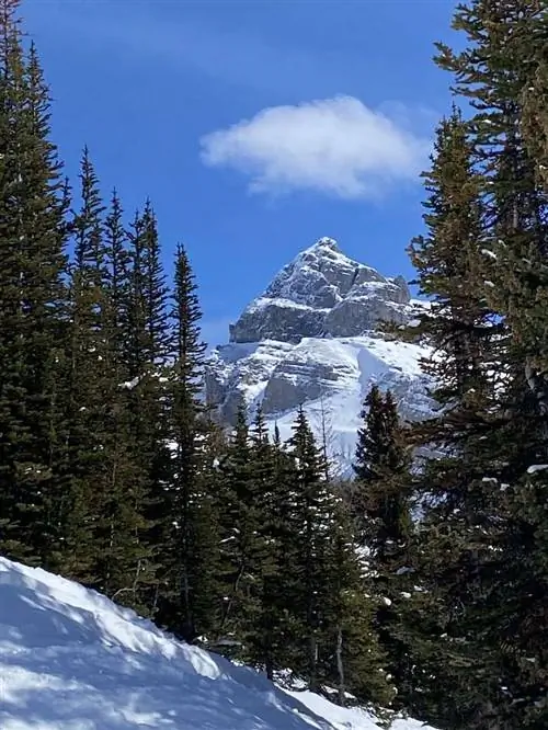 Sunshine Village находится в национальном парке Банф.
