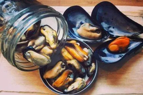свежие мидии ньюфаундленда