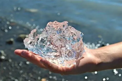 Ледниковый лед Риджвуд Уайлдернесс Лодж Аляски: ворота в приключения