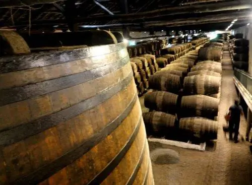 Подвал Тейлор Гайя