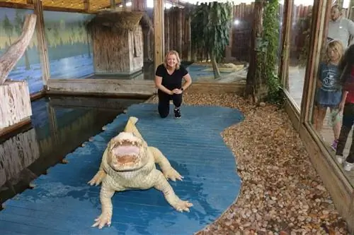 Аллигатор-альбинос в Gator World, Киссимми, Флорида. Фотографии Виктории Харт.