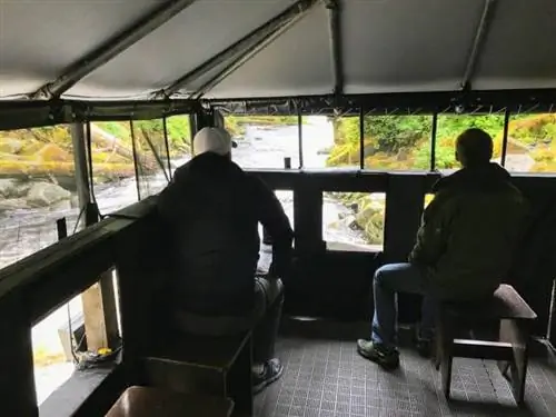 Наблюдение за медведями в AnAn Photo Blind