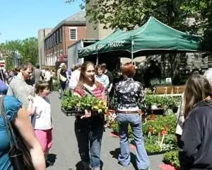 Фермерский рынок