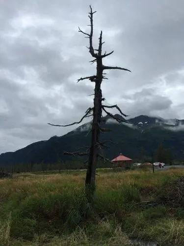 Остатки землетрясения