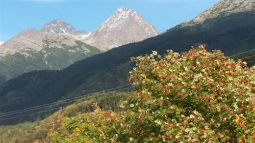 Иногда такой вид на Аляске приходится менять на хороший Wi-Fi.