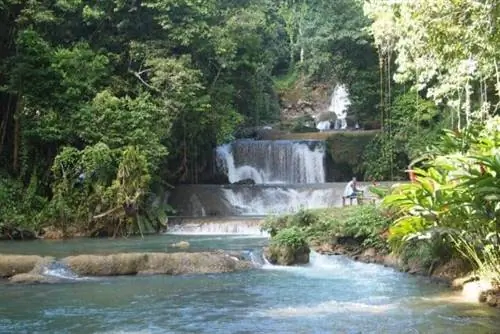 YS Falls на Ямайке. Это прекрасный способ охладиться! Фотографии Макса Хартшорна. YS Falls на Ямайке. Это прекрасный способ охладиться! Фотографии Макса Хартшорна.
