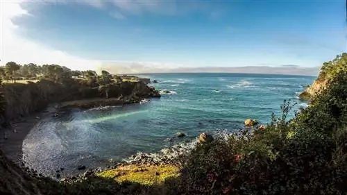 Ocean Cove Lodge, Дженнер, Калифорния