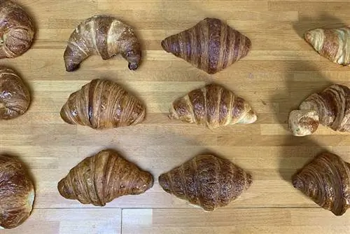 тестирование круассанов