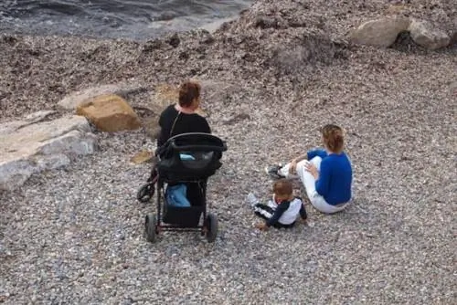 Морские водоросли больше не удаляют с пляжей Прованса. Его оставили для поощрения морской жизни и защиты хрупких песков от эрозии.