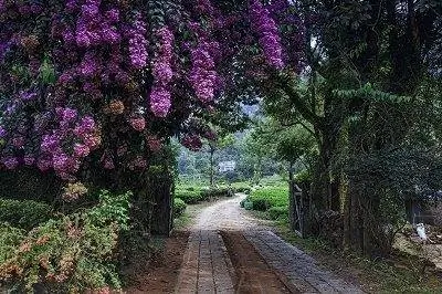 въезд в Уиндермир