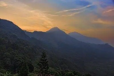 IMG 5220маленький