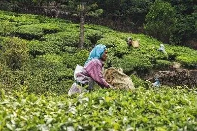 IMG 5264маленький