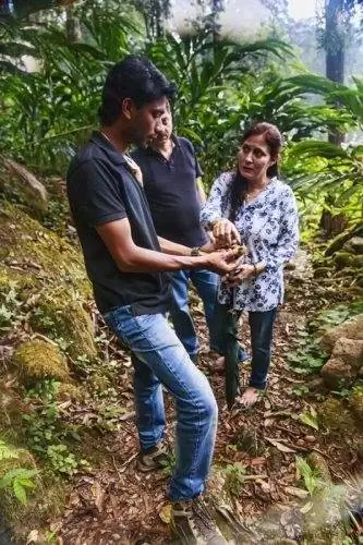 прогулка по плантации кардамона