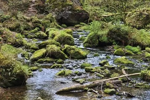 Узкий ручей, идущий по эстакаде Маршрута №3 - к каждому прилагается басня.