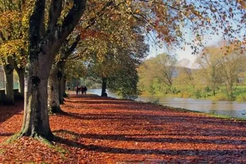 Краски осени у канала в Люксембурге. Фотографии Кэтрин Уокер.
