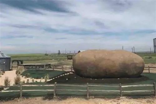 Гостям Airbnb понравится жизнь в отеле Big Idaho Potato Hotel. Фотографии Кристи.