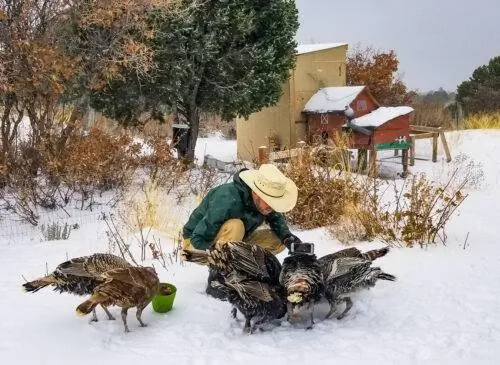 Юта 20191128 111838