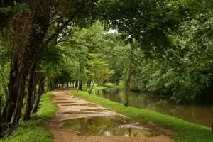 Прогулка по лугам Крайст-Черч