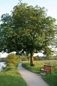 Прогулка по Темзе