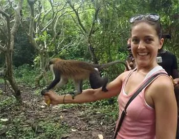 Автор близко знакомится с обезьяной в обезьяньем заповеднике Тафи Атоме в Гане. фотографии Джессики Феста.