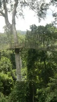 Прогулка под навесом на Кейп-Кост в Гане. фото Джессики Феста.